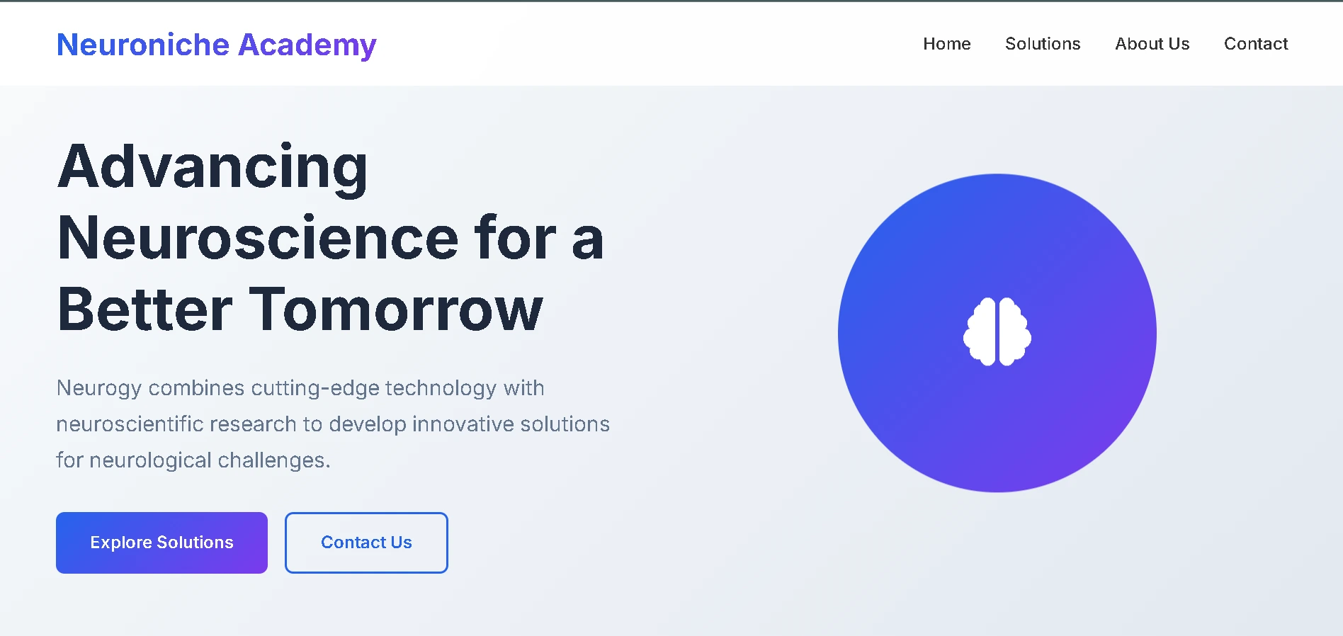 Neuroniche Academy learning platform homepage